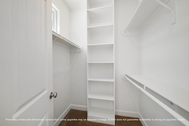 walk in closet with carpet floors