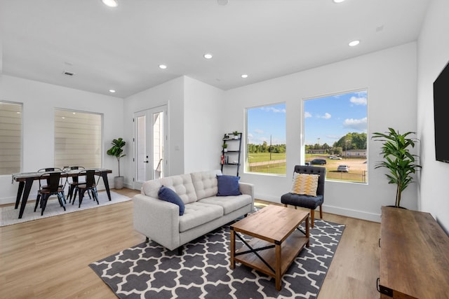 living room with light wood-type flooring