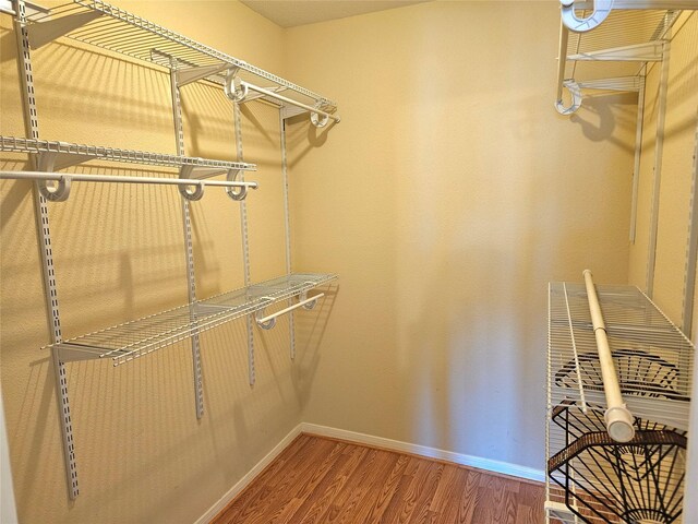 spacious closet with hardwood / wood-style floors