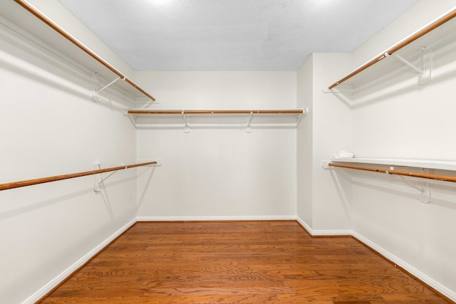 spacious closet featuring wood-type flooring