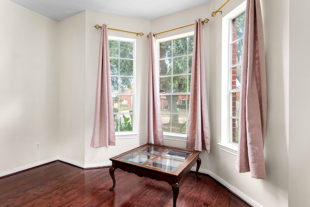 miscellaneous room with wood-type flooring and a wealth of natural light