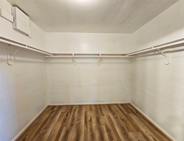 walk in closet featuring dark wood-type flooring