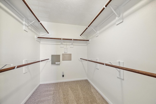 spacious closet with electric panel and light carpet