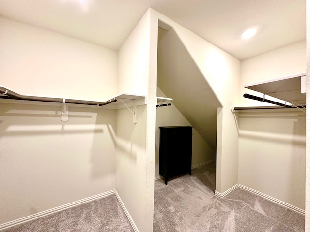 walk in closet featuring carpet flooring