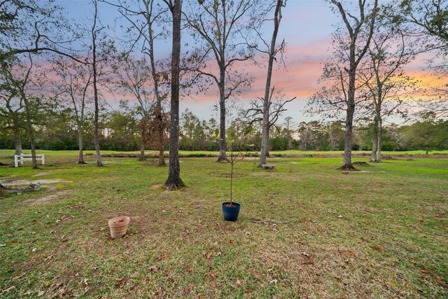 view of community with a yard