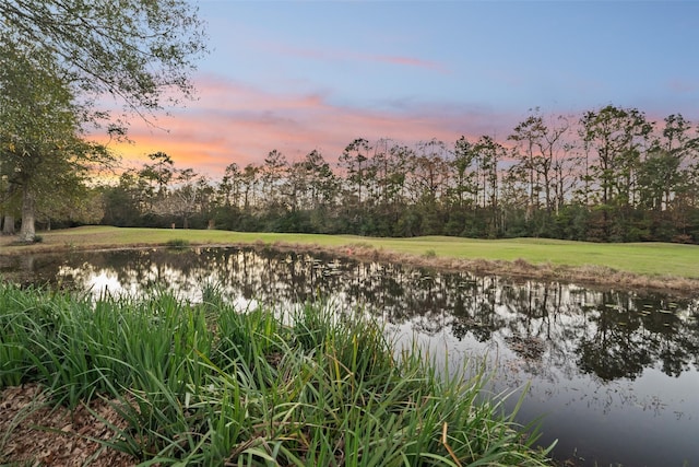 property view of water