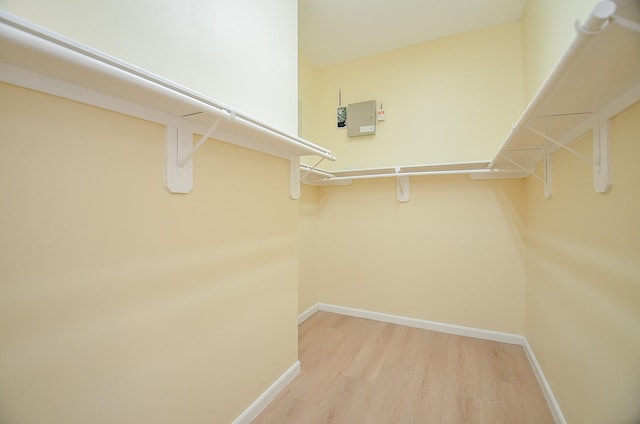 spacious closet featuring light hardwood / wood-style floors