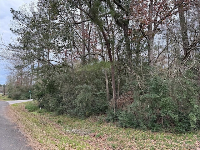 LOT29 Dove Is, Livingston TX, 77351 land for sale