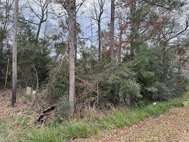 Listing photo 2 for LOT29 Dove Is, Livingston TX 77351