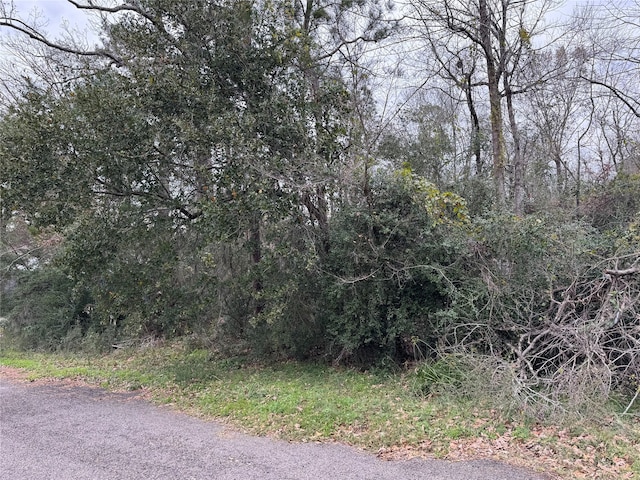 Listing photo 3 for LOT29 Dove Is, Livingston TX 77351