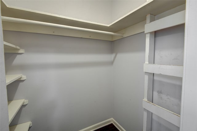 view of walk in closet