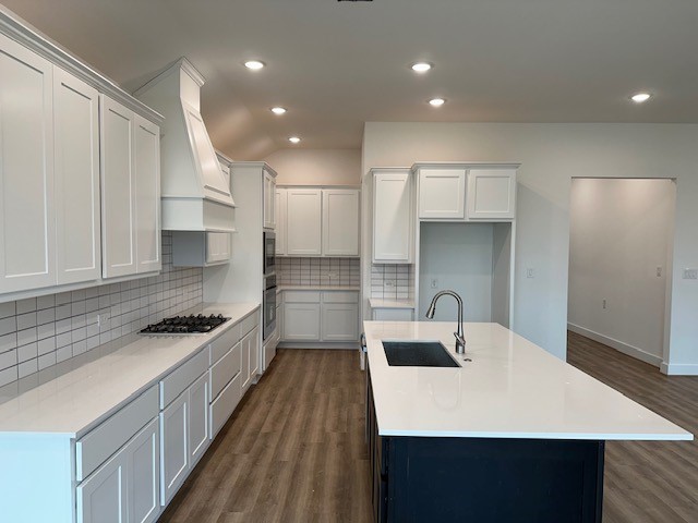 kitchen with stainless steel appliances, a sink, custom exhaust hood, tasteful backsplash, and dark wood finished floors