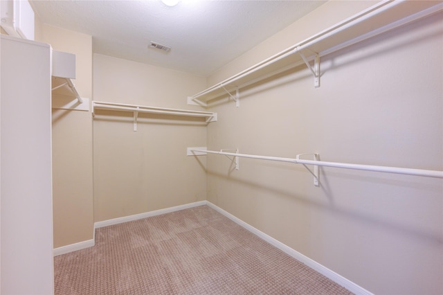 spacious closet featuring carpet