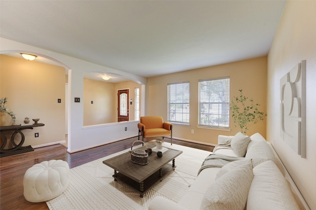 living room featuring dark hardwood / wood-style flooring