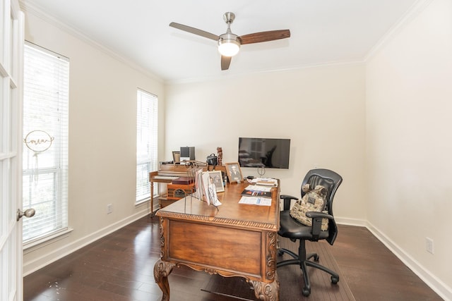 office with dark hardwood / wood-style floors, ceiling fan, and ornamental molding