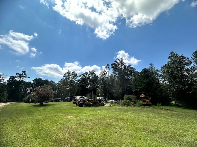 Listing photo 2 for TBD E George Jones Rd, Livingston TX 77351