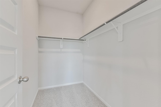 walk in closet featuring carpet flooring