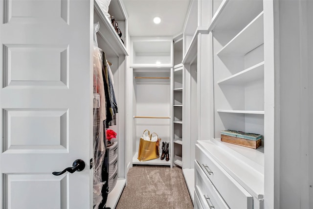 walk in closet with carpet floors