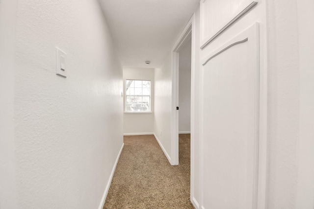 hallway with carpet flooring