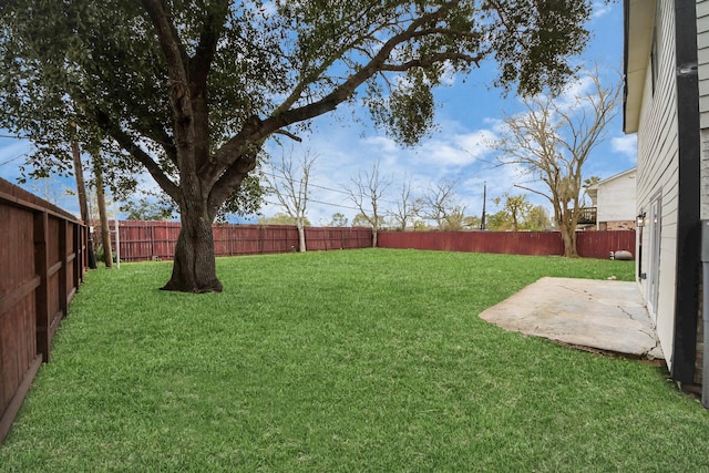 view of yard featuring a patio area