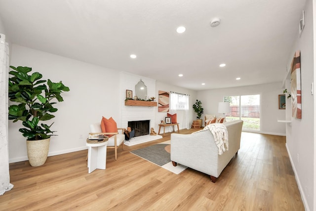 living room featuring a fireplace and light wood-type flooring