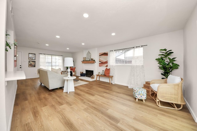 living room with a large fireplace and light hardwood / wood-style flooring