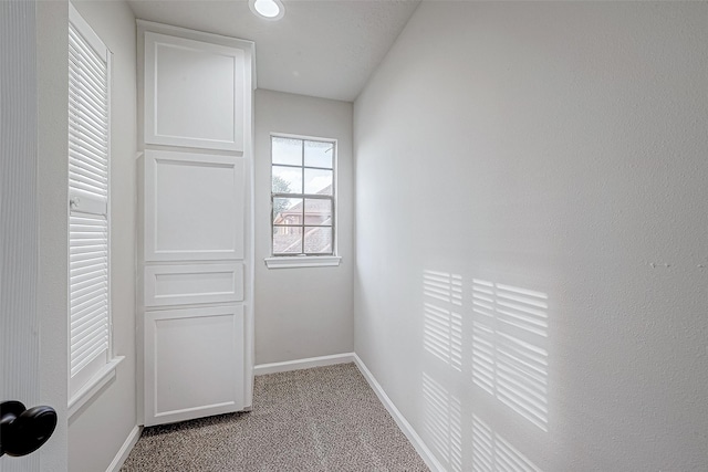 interior space with light colored carpet