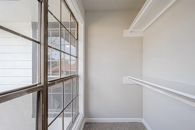 walk in closet with carpet