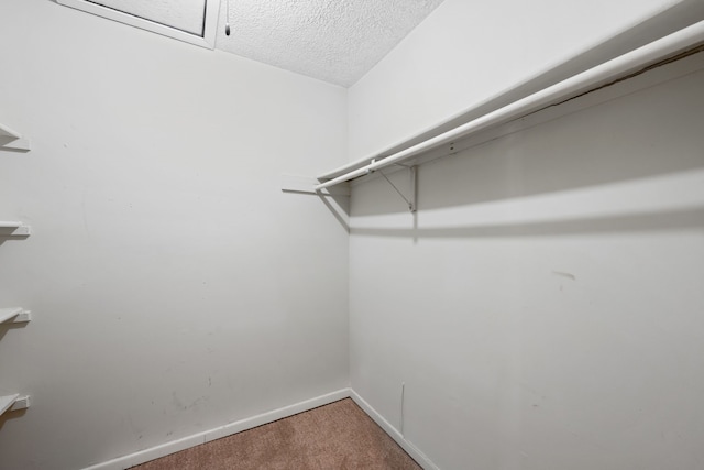 walk in closet featuring carpet flooring