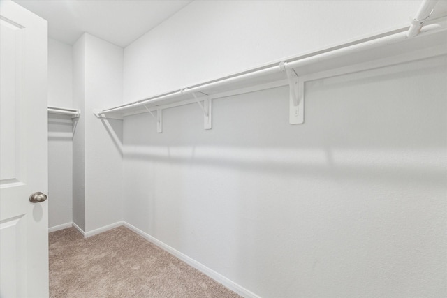 spacious closet with light colored carpet