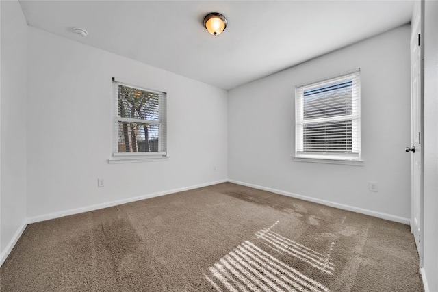 spare room with plenty of natural light and carpet floors