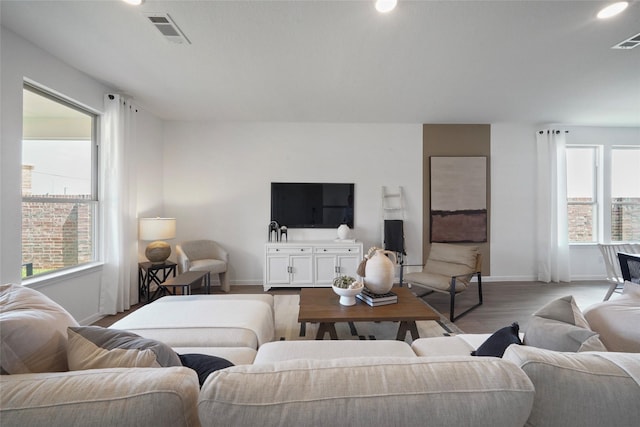 living room featuring light wood-type flooring and a wealth of natural light