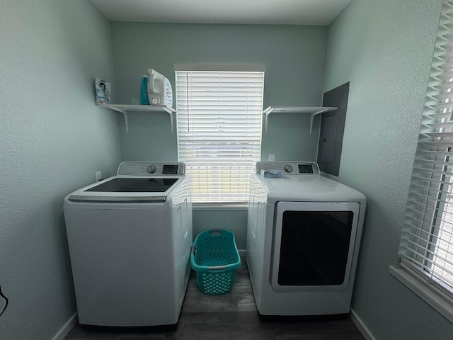 laundry area featuring washer and clothes dryer, dark hardwood / wood-style floors, and electric panel