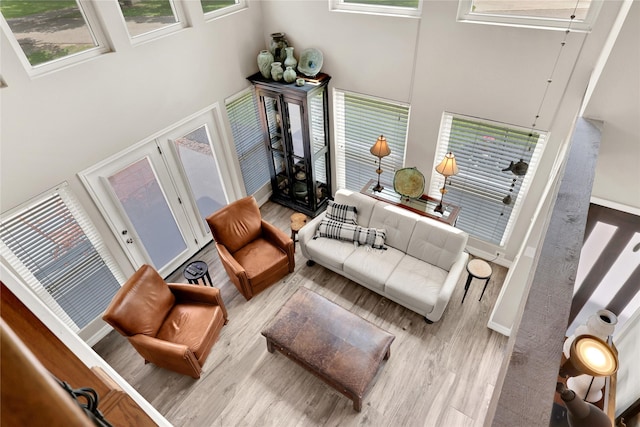 living room with a high ceiling and light hardwood / wood-style flooring