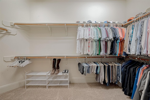 walk in closet with carpet flooring