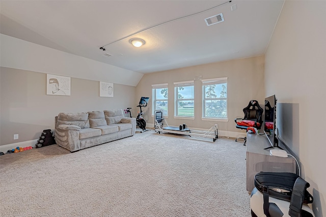 exercise area with carpet flooring and vaulted ceiling