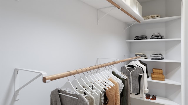 view of walk in closet