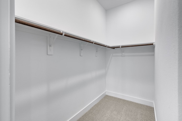 spacious closet featuring carpet flooring