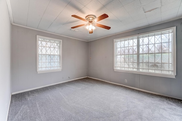 carpeted empty room with ceiling fan and crown molding