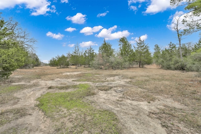 74 Percy Howard Rd, Huntsville, TX 77320 - photo 37
