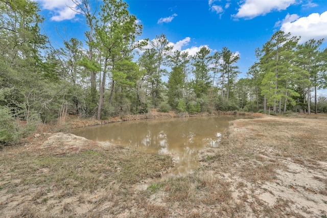 74 Percy Howard Rd, Huntsville, TX 77320 - photo 38