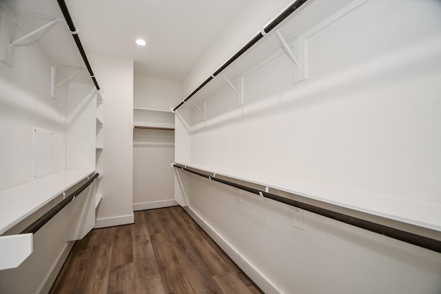 walk in closet with dark wood-type flooring