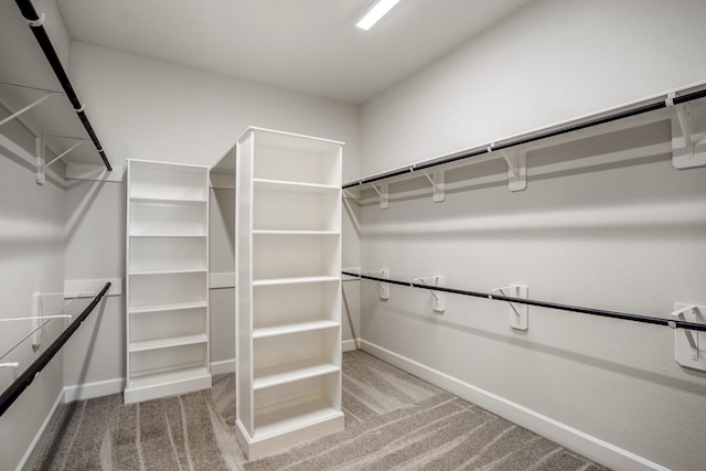 spacious closet featuring carpet