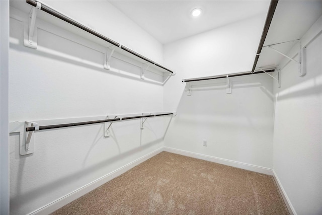 spacious closet with carpet