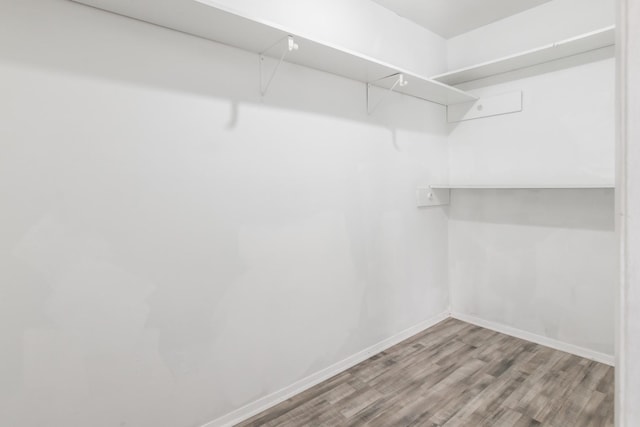 walk in closet with wood-type flooring