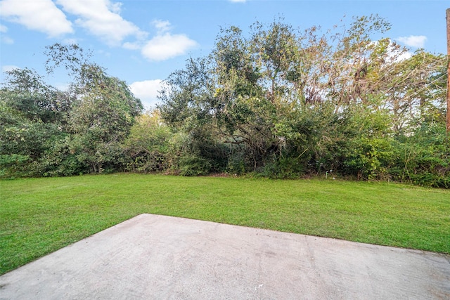 view of yard featuring a patio area