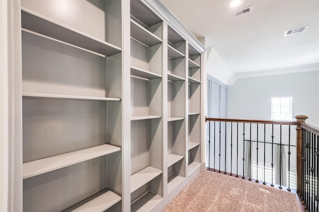 walk in closet featuring carpet flooring