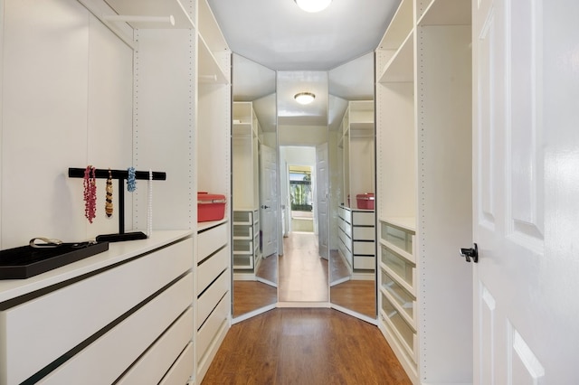 walk in closet with dark wood-type flooring