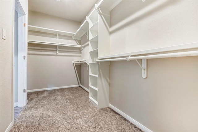 walk in closet featuring carpet floors