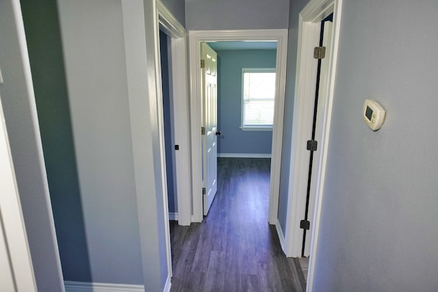 corridor featuring dark wood-type flooring